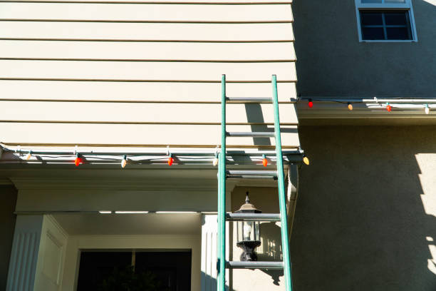 Best Brick Veneer Siding  in Grosse Pointe Park, MI