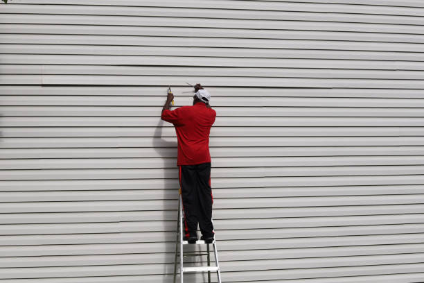 Best Insulated Siding Installation  in Grosse Pointe Park, MI