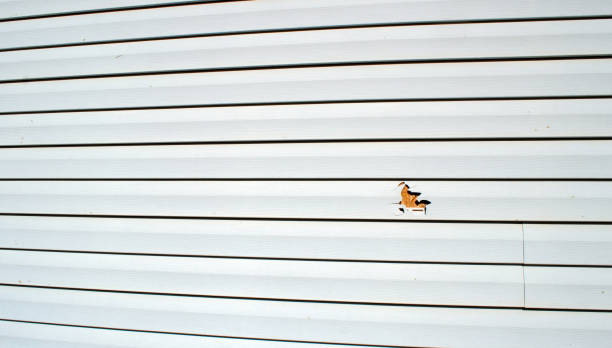 Best Fascia and Soffit Installation  in Grosse Pointe Park, MI